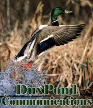 DuxPond's Official Logo